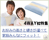 NEW�I4WAY���̉����T�|�[�g��