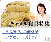 �L�������Q��V���[�Y