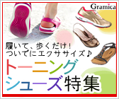 �g�[�j���O�V���[�Y���W