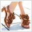 �T���_�����p���v�Xcollection