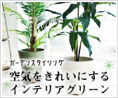 ��C�����ꂢ�ɂ���C���e���A�O���[��