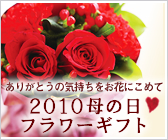 2010��̓��t�����[�M�t�g