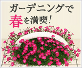 �K�[�f�j���O�ŏt�𖞋i�I���W