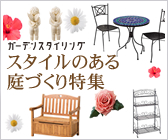 �X�^�C���̂����Â�����W