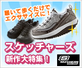 �X�P�b�`���[�Y�V����W