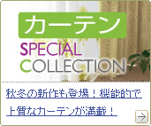 J[e SPECIAL COLLECTION 