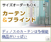 �J�[�e�� SPECIAL COLLECTION