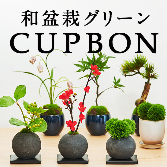 �b�t�o�a�n�m