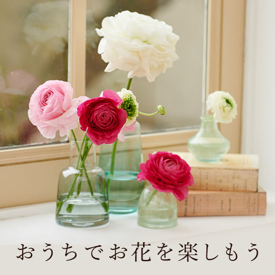 C�������ł��Ԃ��y������