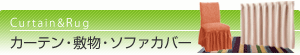 �J�[�e���E�~���E�C���e���A