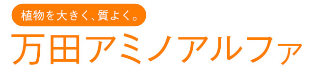 A傫 悭 cA~mAt@