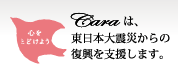 Cara�́A�����{��k�Ђ���̕������x�����܂��B