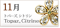 11�� �g�p�[�Y,�V�g����
