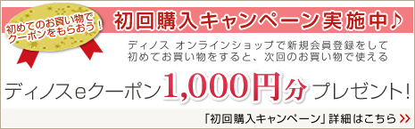 ����w���L�����y�[�����{����f�B�m�Xe�N�[�|��1,000�~���v���[���g�I