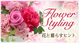 �f�B�m�X�t�����[�Z���N�V����