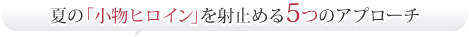 �Ắu�����q���C���v���ˎ~�߂�5�̃A�v���[�`
