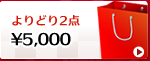 ���ǂ�2�_5000�~