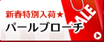 �V�t���ʓ��ׁ��p�[���u���[�`