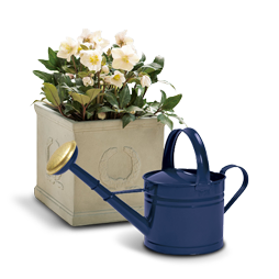 �K�[�f�j���O�E�G�N�X�e���A