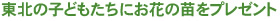 ��Вn�̎q�ǂ�������12,000���̂��Ԃ��v���[���g