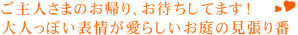 ���A���ł��킢������q�u�^�B���邽�тɁu�ӂӂӁc�v�ƂȂ��߂܂��B