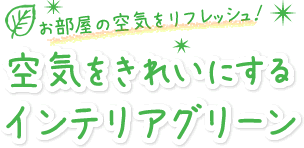 ��C�����ꂢ�ɂ���C���e���A�O���[��