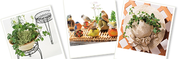 �K�[�f���O�b�Y�@�ǂ�ł����ǂ�3�_��10,395�~