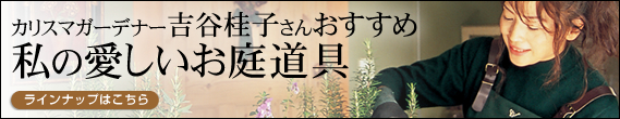 �J���X�}�K�[�f�i�[�g�J�j�q���񂨂����ߎ��̈��������듹��