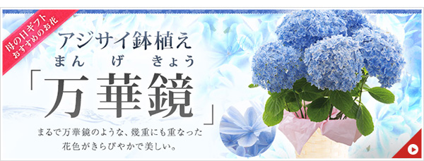 Ԃƕ炷Bt`