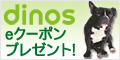 アフィリエイト用クーポンプレゼント_120*60
