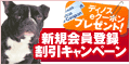 ディノス オンラインショップ