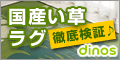 国産い草ラグ 徹底検証♪