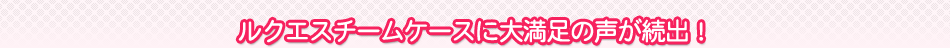 ���N�G�X�`�[���P�[�X�ɑ喞���̐������o�I