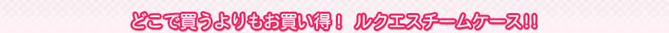�ǂ��Ŕ����������������I ���N�G�X�`�[���P�[�X!!