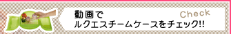 ����Ń��N�G�X�`�[���P�[�X���`�F�b�N!!