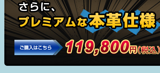 ����ɁA�v���~�A���Ȗ{�v�d�l 119,800�~�i�ō��j�������w���͂�����
