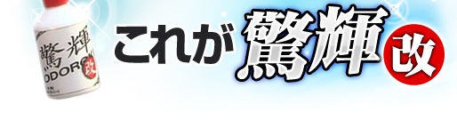 ���ꂪ�u���P�E���v