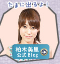 ���ؔ��� ����Blog