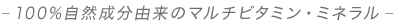 -100RR̃}`r^~E~l-