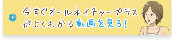 I[lC`[vX悭킩铮I