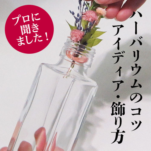 �n�[�o���E��