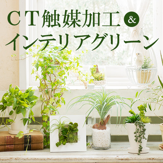 花 フラワー 4ページ目 通販 ディノス 花 フラワー 4ページ目 通販 ディノス