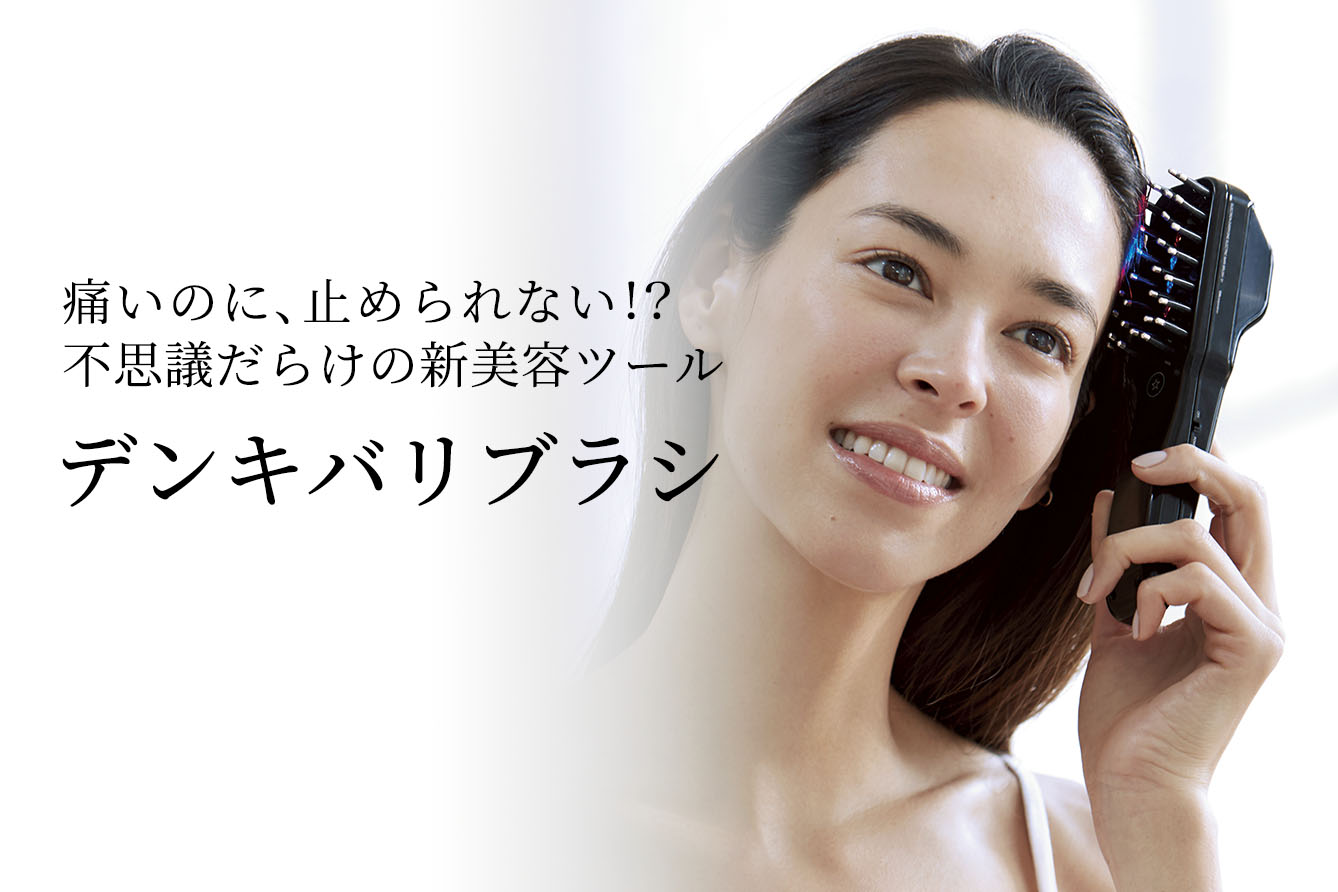 送料無料 デンキバリブラシ エレクトロン エブリワン 通販 ディノス