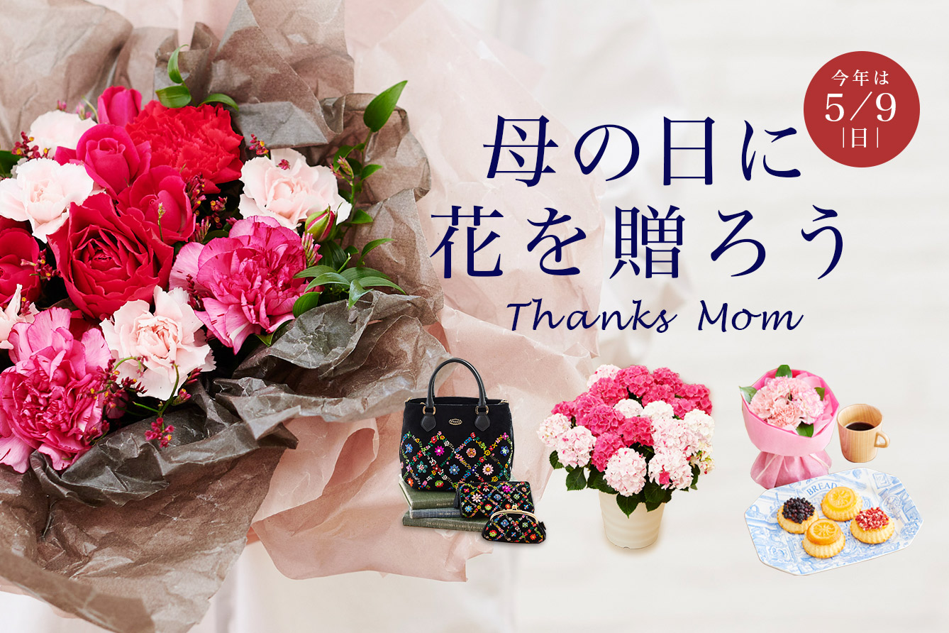 花 フラワー 通販 ディノス 花 フラワー 通販 ディノス