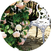 �K�[�f�j���O�E�t�����[