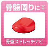 骨盤周りに