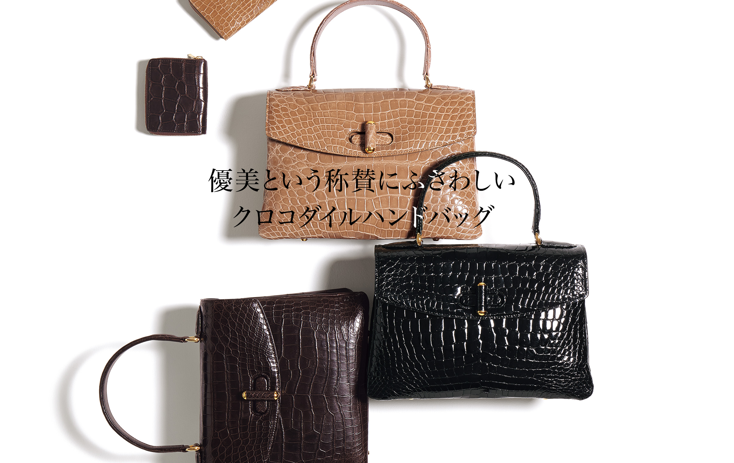 DAMA collection 50th Anniversary クロコダイルハンドバッグ｜通販