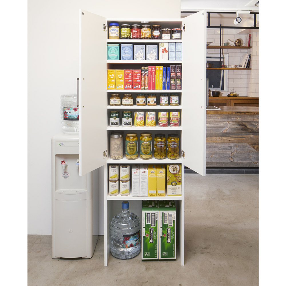 幅59cm ゴミ箱上を有効活用 下段オープンたっぷり収納庫 通販 ディノス