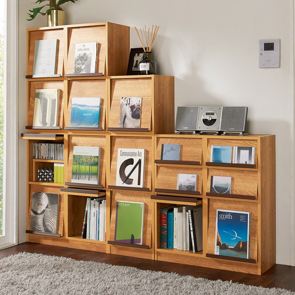 49 割引超話題新作 家具 収納 本棚 ラック シェルフ 書棚 ヴィンテージウッド調 薄型マガジンキャビネット 上段専用 扉タイプ 2段3列 幅113cm奥行29 5cm高さ79cm 収納 家具 インテリア キッチン Solcaloja Med Ec