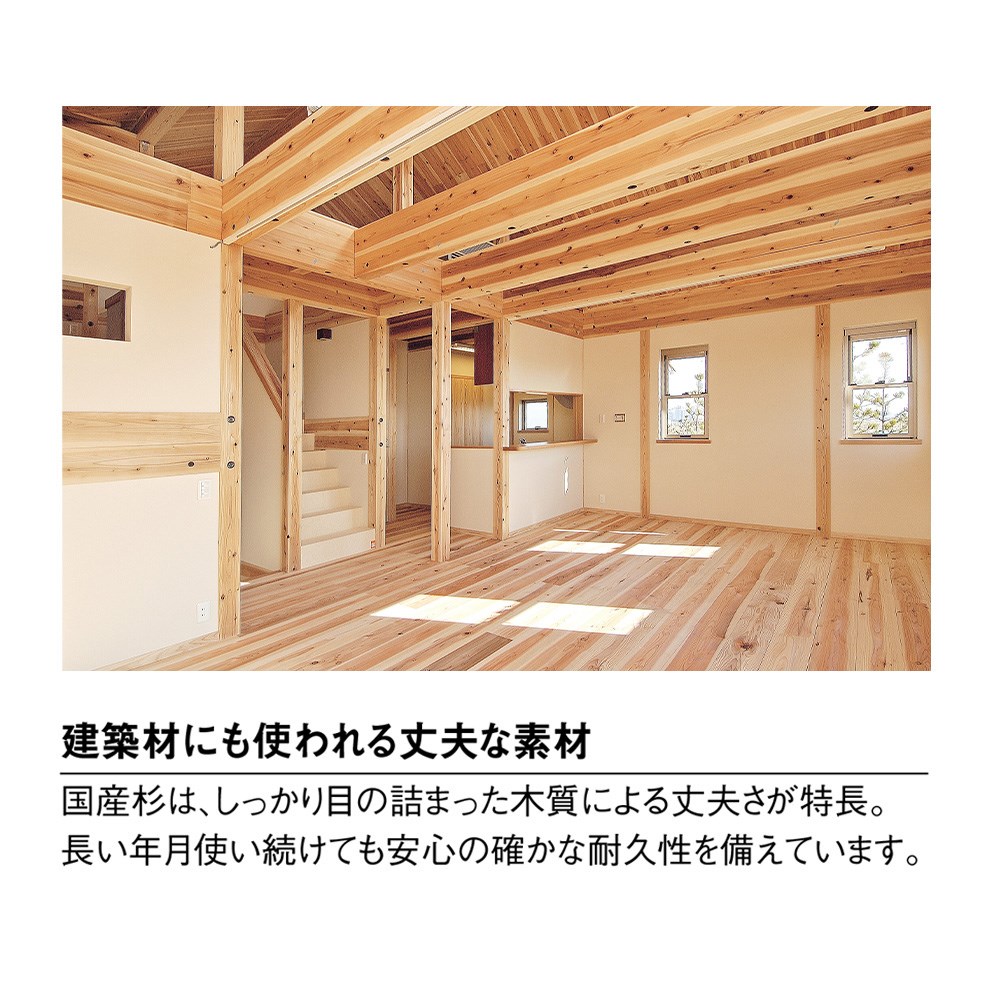 国産杉 薄型頑丈タワーシェルフ 幅90cm高さ179cm ディノスANAmall店